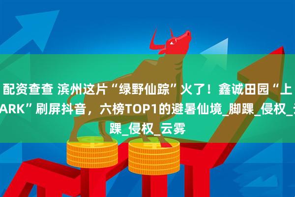 配资查查 滨州这片“绿野仙踪”火了！鑫诚田园“上岸PARK”刷屏抖音，六榜TOP1的避暑仙境_脚踝_侵权_云雾