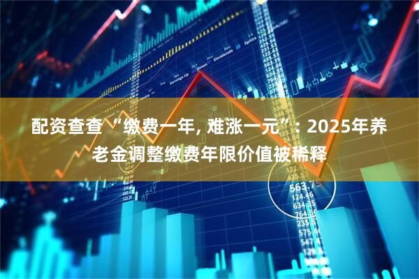 配资查查 “缴费一年, 难涨一元”: 2025年养老金调整缴费年限价值被稀释
