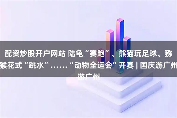 配资炒股开户网站 陆龟“赛跑”、熊猫玩足球、猕猴花式“跳水”……“动物全运会”开赛 | 国庆游广州